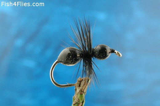 Fish4Flies Black Transpar-Ant